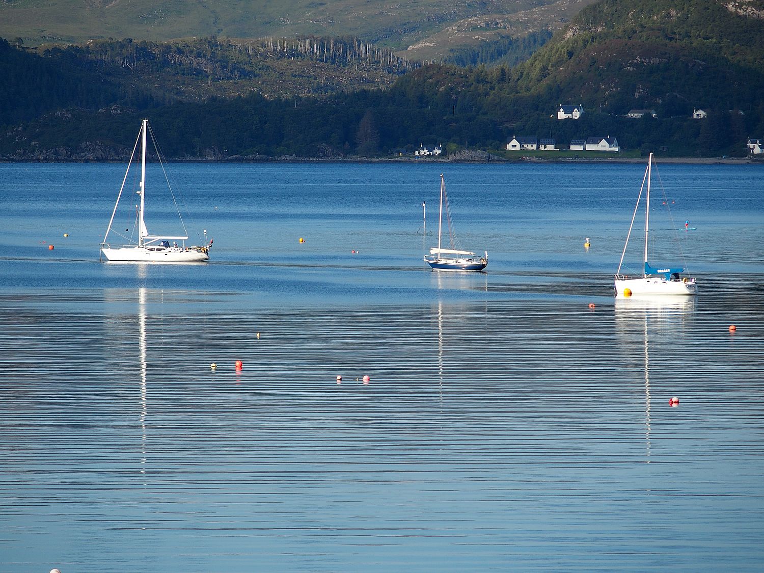 Plockton Barny